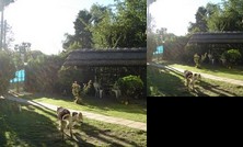 Homestay in Bella Vista near Buenos Aires Golf Club