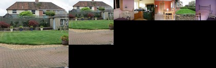 Homestay - English Language lessons from home