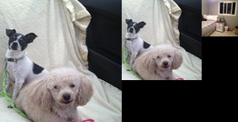 Homestay - Friendly family near city centre Pickering