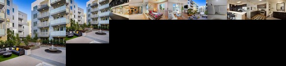 Luxury Resort Style 1Br + Parking Pool Gym