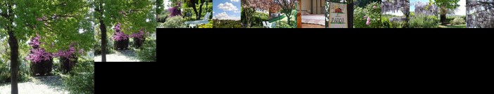 Il Parco Holiday Home