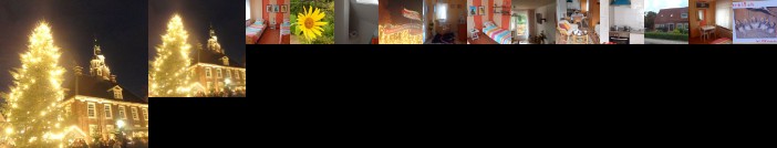 Ferienwohnung Sonnenblume Leer