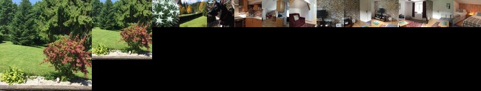 Alpine Blue Apartments