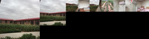 Zhongwei Shapotou Riverside Rural Guesthouse