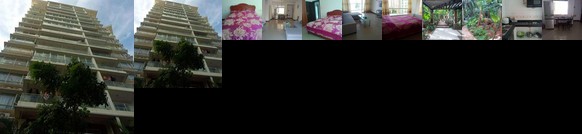 Home of Coconut Haikou Yindian Garden