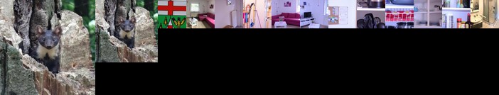 Ferienwohnung Hunsrucknest