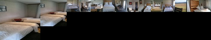 Springwater Cottages