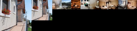 Sipos Borhaz es Vendeghaz