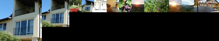 Vineyard Villa Varazdin Apartment