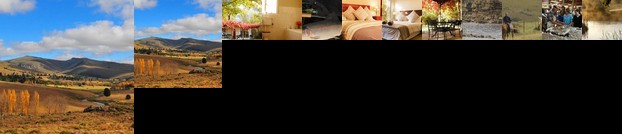 Lowestoffe Country Lodge - Trout