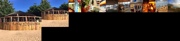 The Funky Cichlid