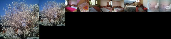 Bhoomi Home Stay & Hostel Manali