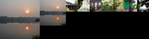 Big Banana Island Retreat