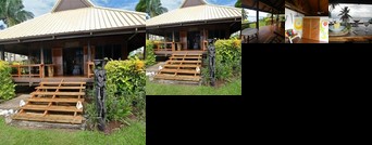 Dolphin Bay Divers - Matei