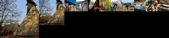 Lydenrust Guest Farm