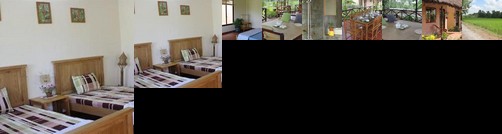 Binh Tien Farmstay