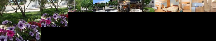 Apartment Julia Pirovac