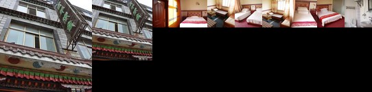 Migrant Bird Youth Hostel