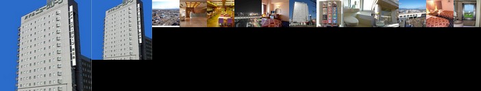 Hotel New Green Tsubame Sanjo