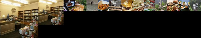 Hishino Onsen Tokiwakan