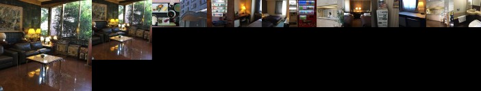 Kurume Station Hotel