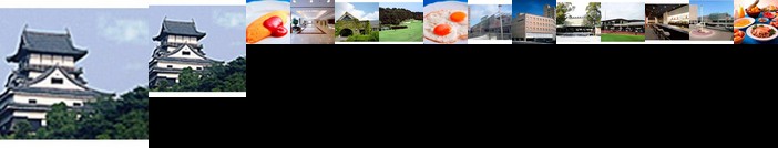 Hotel Plaza Kachigawa