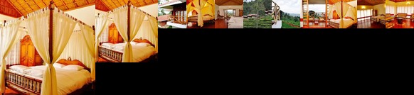 Hanging Huts Resorts