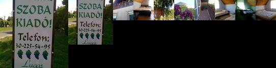 Eva Vendeghaz Palkonya