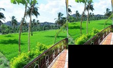 Vista Rooms At Mowgli Guest House