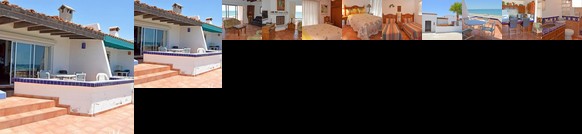 Mariposa Puerto Penasco