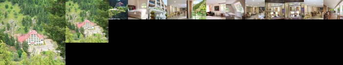 Hotel Green Valley Savsat