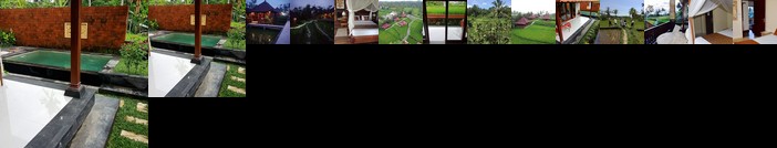 Ubud Sawah Villa Cinery and Homestay