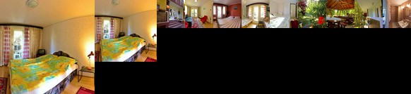 Fenyo Panzio Kisvendeglo