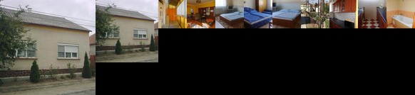 Bodzavirag Vendeghaz