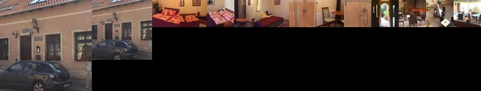 Arany Elefant Panzio