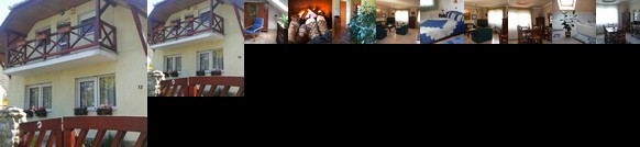 Zsuzsanna Vendeghaz Bicske