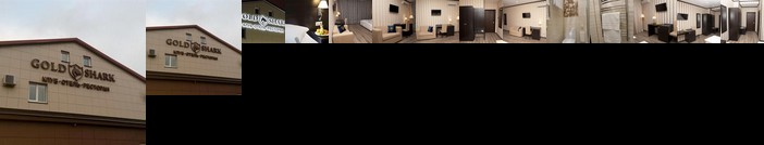 Hotel Gold Shark