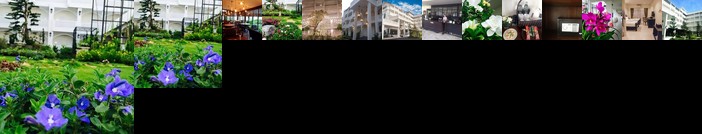 Koranaree Courtyard Boutique Hotel