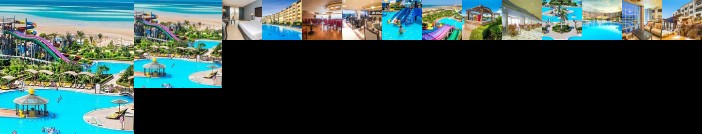 Hawaii Caesar Palace Aqua Park - Families and Couples Only