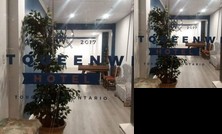 West Queen West Hotel