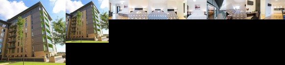 Falcondale Court Accommodation