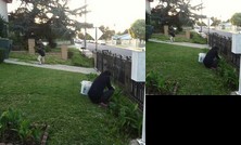 Homestay in Monterey Park near Montebello Genocide Memorial