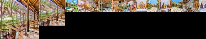 ZEN Premium Nyuh Bojog Ubud