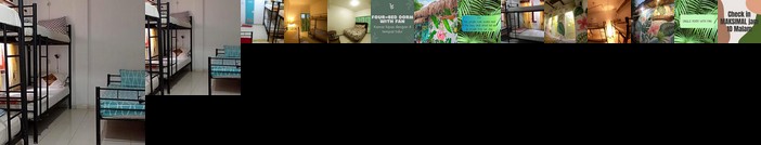 Laura's Backpacker 523