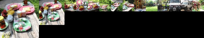 Yuda Menjangan Homestay