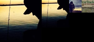 Bear Track Outfitters