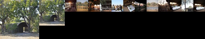 Jackalberry Tented Camp