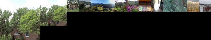 Cabana Los Piquillines