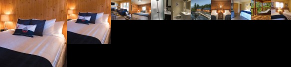 Wild Renfrew Seaside Cottages