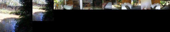 Homestay - Amazonia guest house Iquitos-Peru